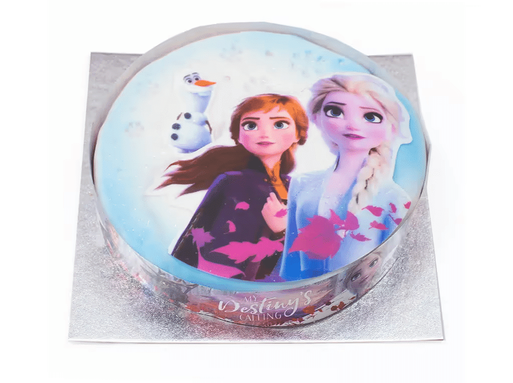 Bolo 3d Frozen 915g -